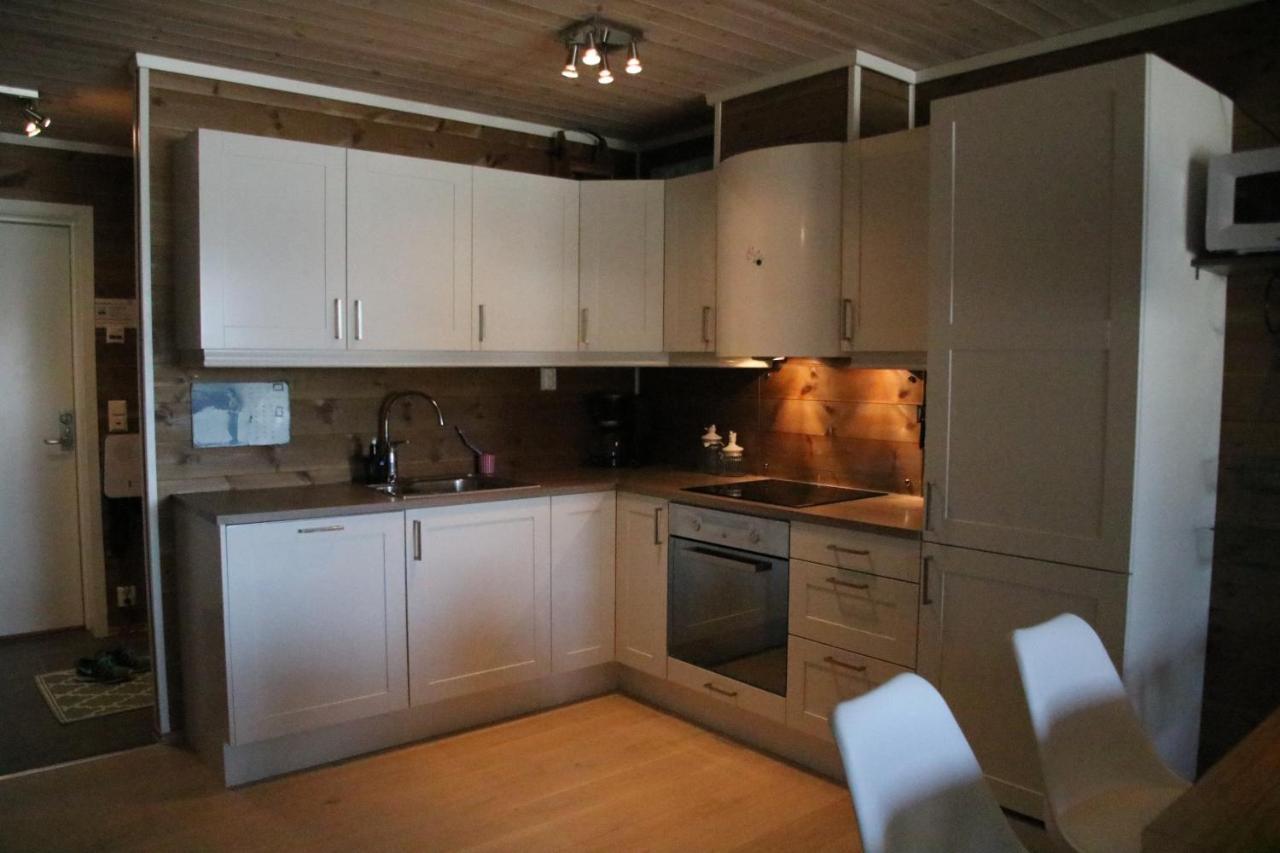 Myrkdalen Armotssteien Apartment